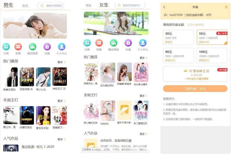 掌上阅读小说系统 小说源码支持公众号+分站支付+APP-理遇资源