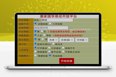 九龙道长同款样式八字排盘程序 八字排盘算命源码-理遇资源