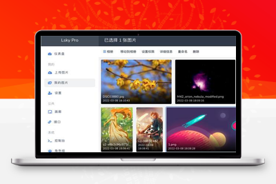 多功能PHP图床源码：Lsky Pro开源版v2.1-理遇资源