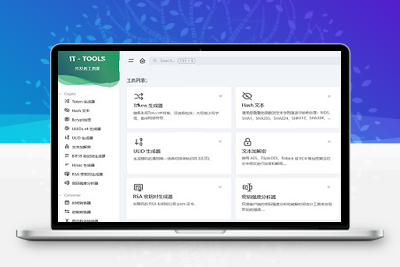IT Tools工具箱开发人员在线工具集合源码-理遇资源