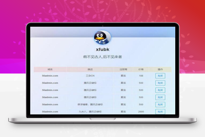 简约好看的域名出售单页php源码-理遇资源