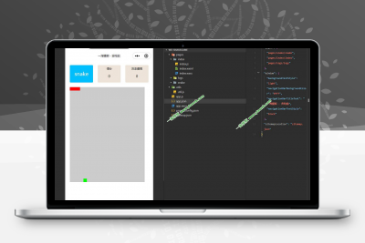 【周末福利】贪吃蛇微信小程序源码/微信小游戏源码-理遇资源